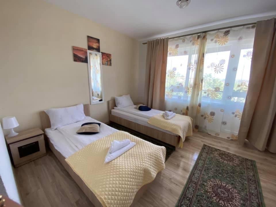 Guest House Zoreni Mociu Exteriér fotografie